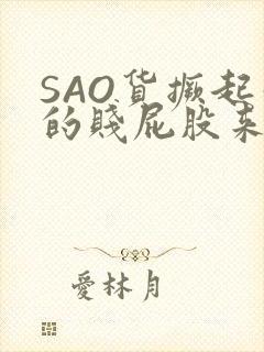 SAO货撅起你的贱屁股来