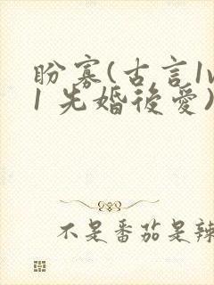 盼寡(古言1v1 先婚后爱)荔枝好多