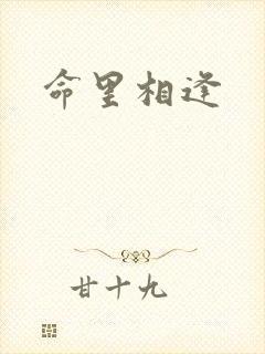 命里相逢