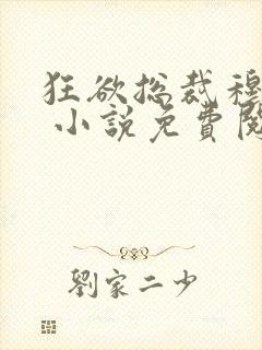 狂欲总裁穆非雪 小说免费阅读