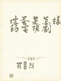 坏蛋是怎样炼成的电视剧