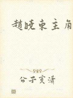 赵晓东主角小说