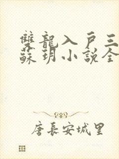 双龙入户三人行苏玥小说全文阅读