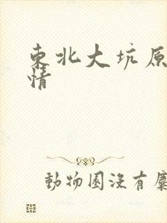 东北大坑原始激情