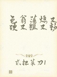 色翁荡熄又大又硬又粗又动态图