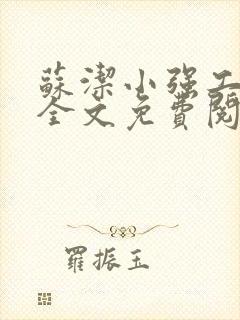 苏洁小强工地情全文免费阅读