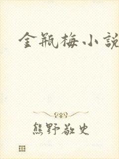 金瓶梅小说下载