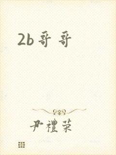 2b哥哥