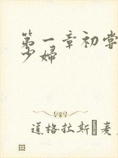 第一章初尝极品少妇
