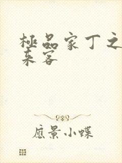 极品家丁之远方来客