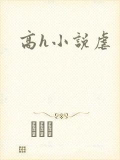 高h小说虐