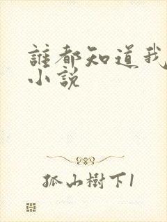 谁都知道我爱你小说