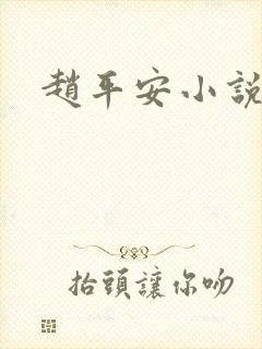 赵平安小说主角