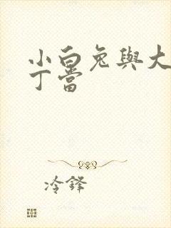 小白兔与大灰狼丁当