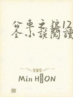 公车之狼12集全小说阅读