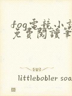 fog电竞小说免费阅读笔趣阁未删减版