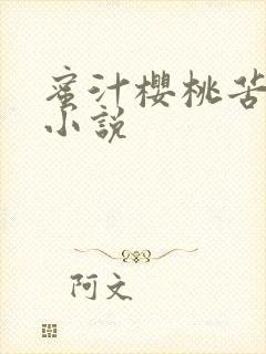 蜜汁樱桃苦咖啡小说