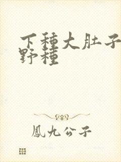 下种大肚子怀孕野种