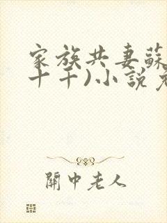 家族共妻苏苏(十千)小说免费