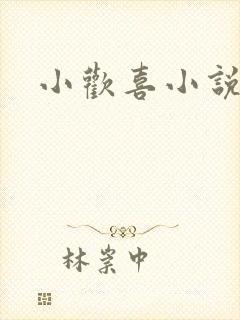 小欢喜小说