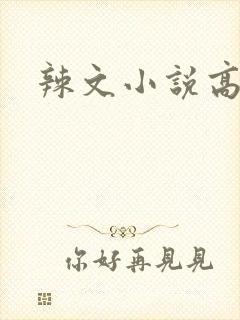 辣文小说高h