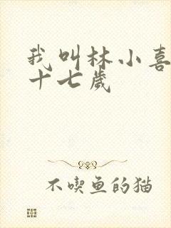 我叫林小喜今年十七岁