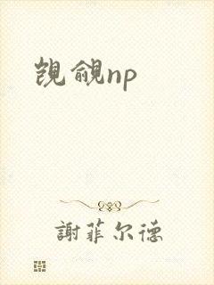 觊觎np