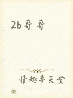 2b哥哥