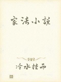 家法小说