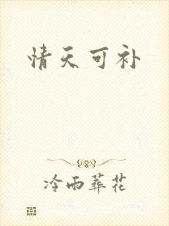 情天可补