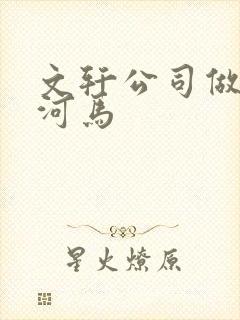 文轩公司做扩张河马