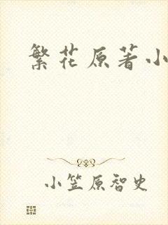 繁花原著小说