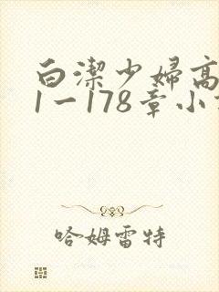 白洁少妇高义第1一178章小说