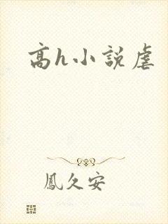 高h小说虐