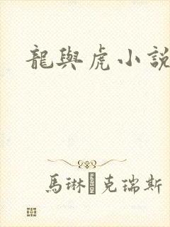 龙与虎小说