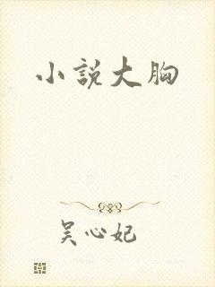 小说大胸
