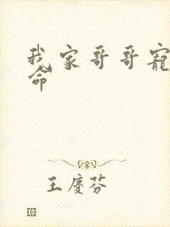 我家哥哥宠妹如命