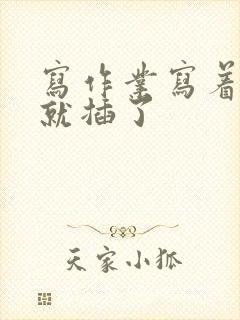 写作业写着写着就插了