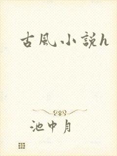 古风小说h