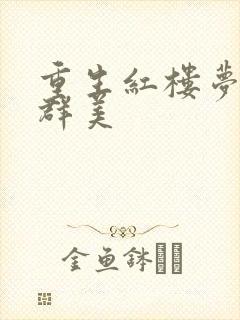 重生红楼梦之御群美