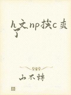 h文np挨c爽了