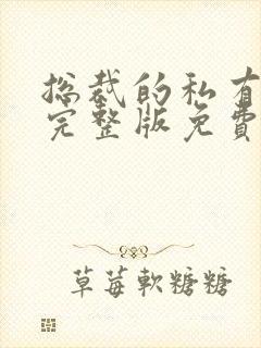 总裁的私有宝贝完整版免费阅读