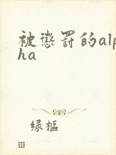 被惩罚的alpha