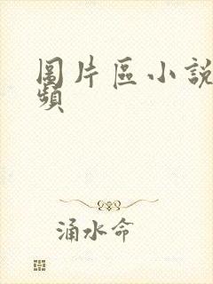 图片区小说区视频