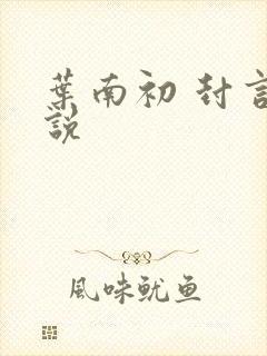 叶南初 封言小说