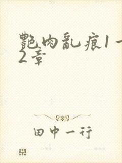 艳肉乱痕1一12章