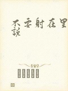 不要射在里面小说