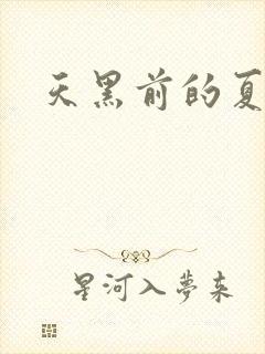 天黑前的夏天