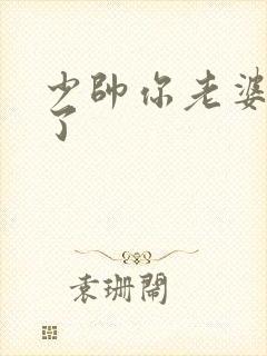 少帅你老婆又跑了