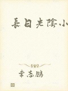 长日光阴小说